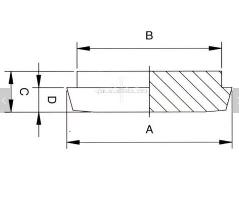 Blank Liner DIN SS304 SS316L Sanitary Plumbing Fittings For DIN Union
