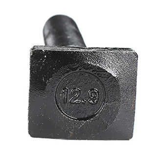 Class4.8 Grade 2 Black Hammer Head  T Bolt metric Threaded
